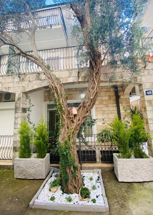 Apartment Oliva1 Petrovac Buitenkant foto